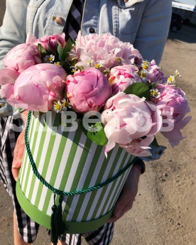 Букет 15 пионов в шляпной коробке с ромашкой купить с доставкой в Санкт-Петербурге Букет 15 пионов в шляпной коробке с ромашкой купить с доставкой в Санкт-Петербурге